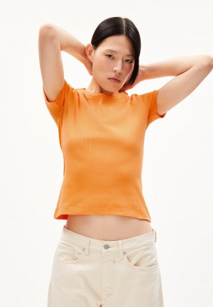 ARMEDANGELS KARDAA Rib-T-Shirt Regular Fit made of Organic Cotton Mix Mangorange | JXCV-84703